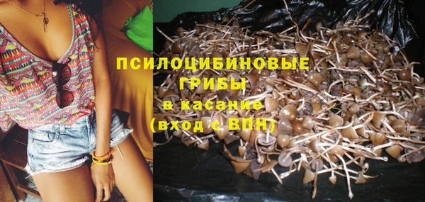 шишки Болохово