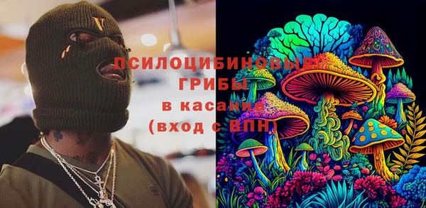 крисы Вязьма