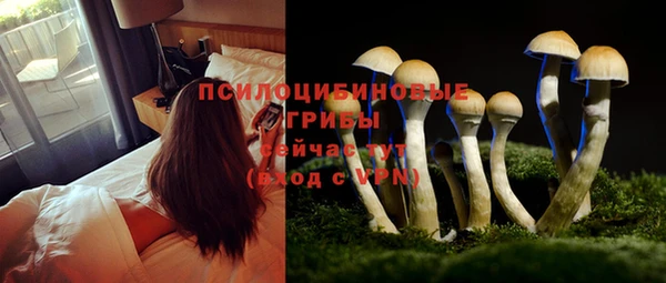 мяу мяу кристалл Нязепетровск