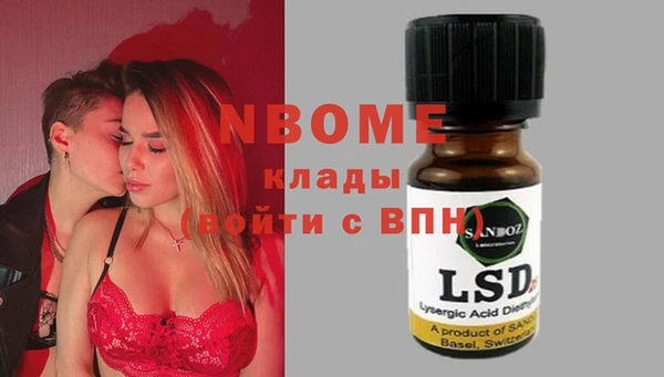 крисы Вязьма