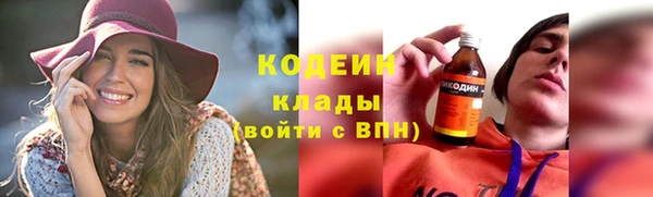 прущие крисы Няндома