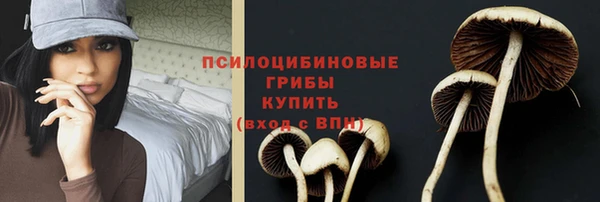 прущие крисы Нягань