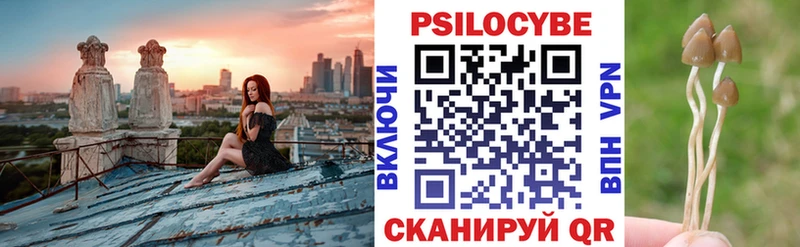 даркнет как зайти  дарнет шоп  Калач-на-Дону  Псилоцибиновые грибы Psilocybe 