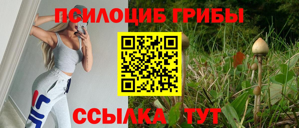где купить наркоту  Вход с VPN  Псилоцибиновые грибы Psilocybe  Калач-на-Дону  Псилоцибиновые грибы мицелий 